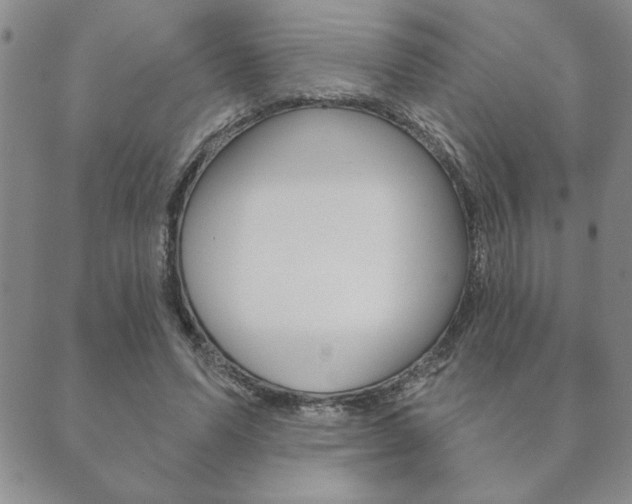 X0000089860591200706281011