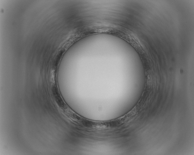X0000089860598200706281011