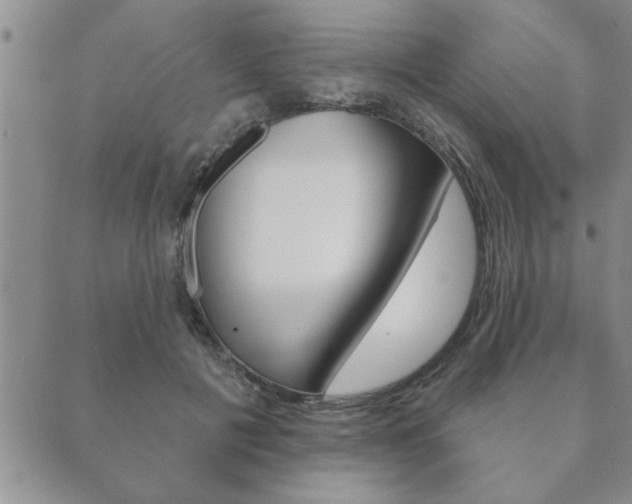 X0000089860601200706281011