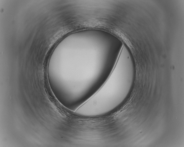 X0000089860626200706281010
