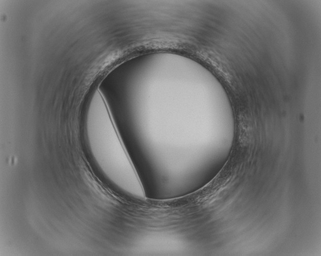 X0000089860631200706281010