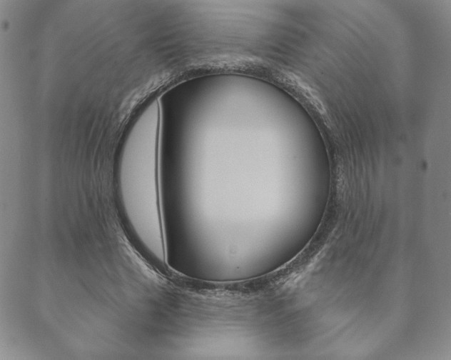 X0000089860633200706281010