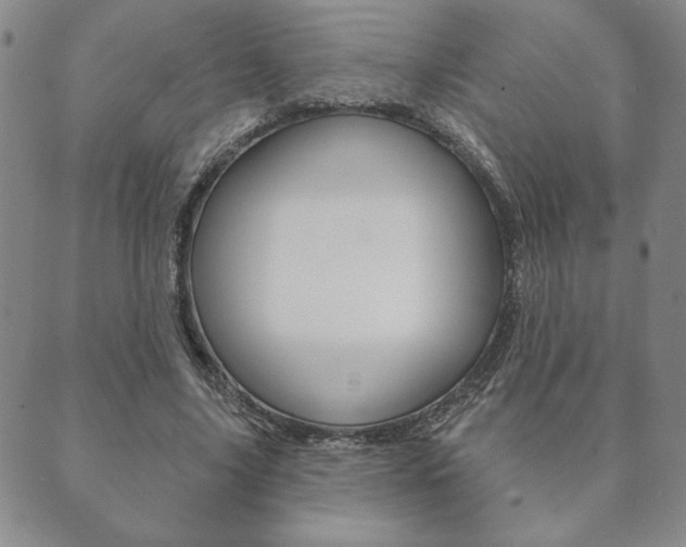 X0000089860635200706281010
