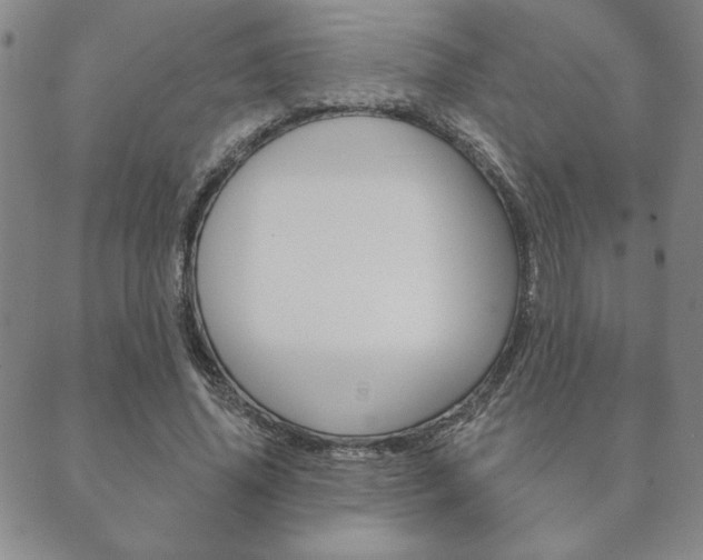 X0000089860636200706281010