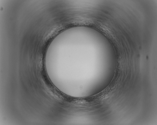 X0000089860642200706281010