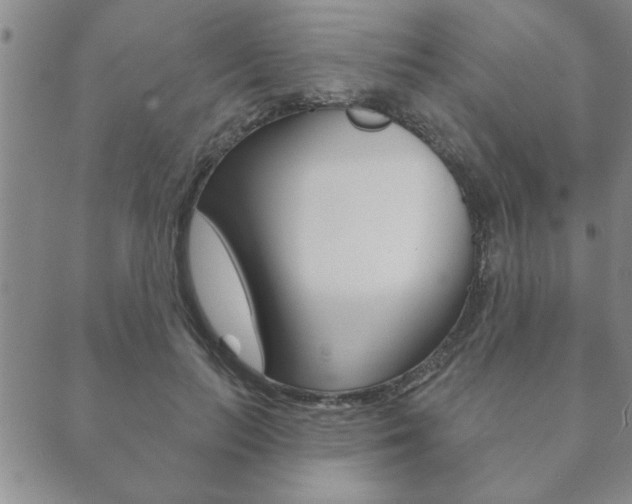 X0000089860647200706281010