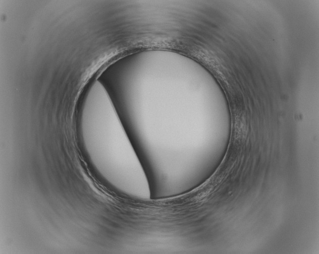 X0000089860674200706281010