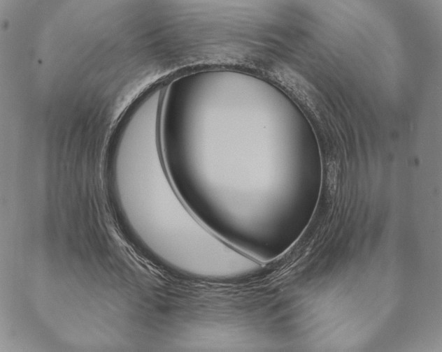 X0000089860676200706281010