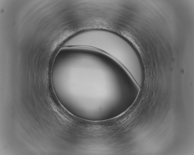 X0000089860677200706281010