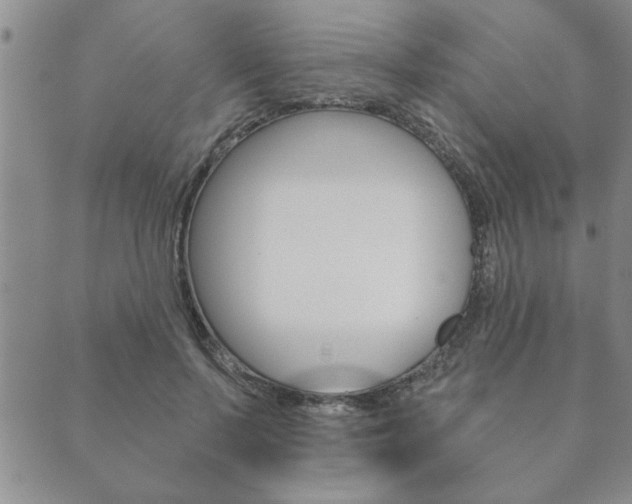 X0000089860695200706281010