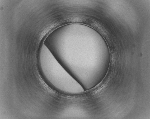 X0000089860725200706281008