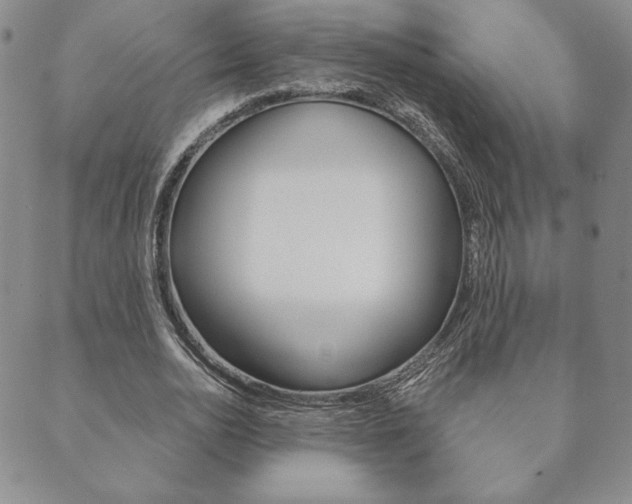 X0000089860726200706281008