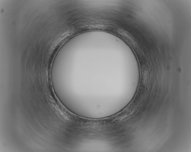 X0000089860729200706281009