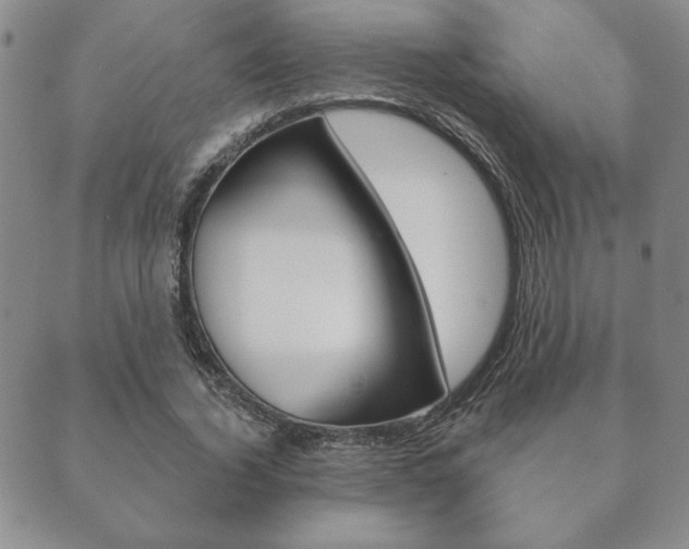 X0000089860732200706281009