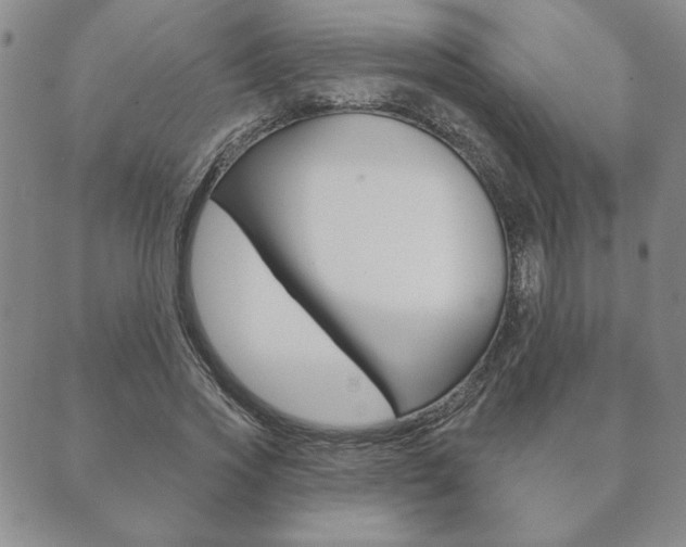 X0000089860733200706281009