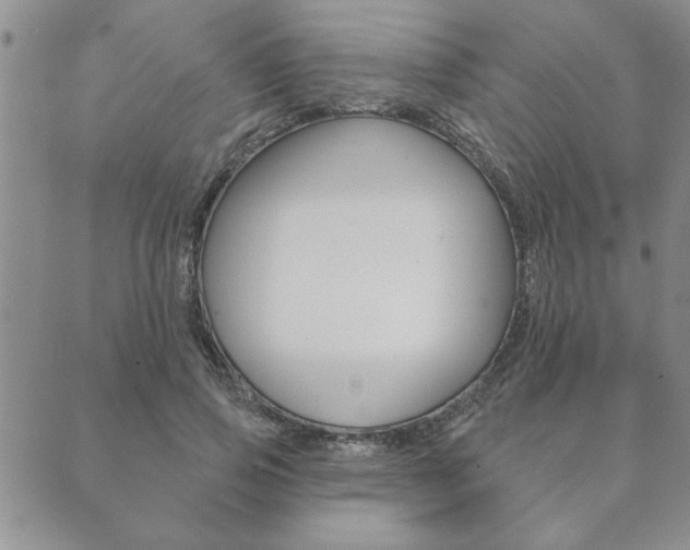 X0000089860741200706281009