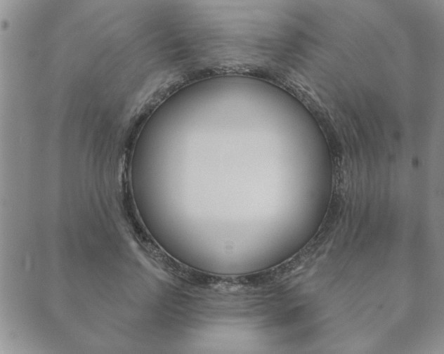 X0000089860742200706281009