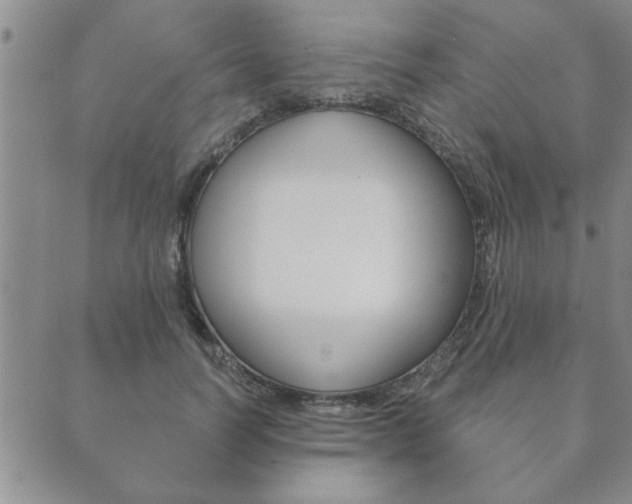 X0000089860746200706281009