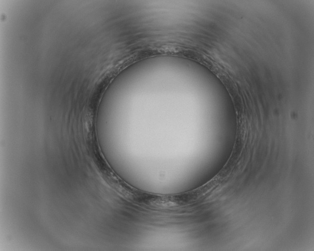 X0000089860747200706281009