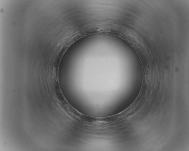 X0000089860748200706281009