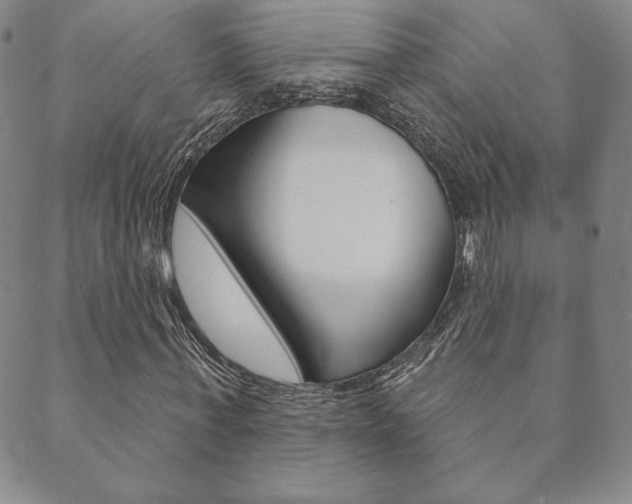 X0000089860771200706281008