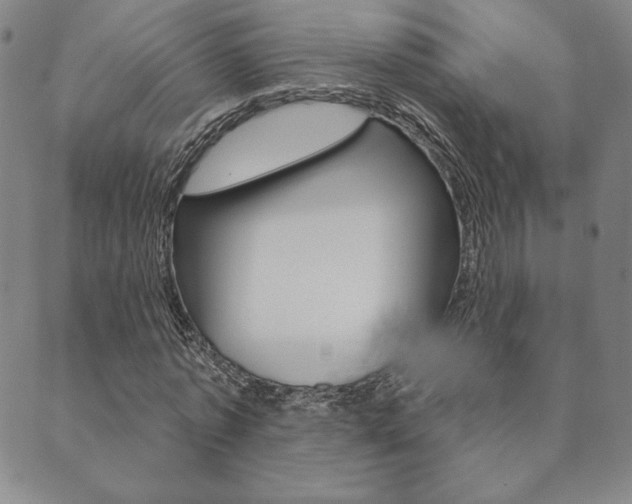 X0000089860773200706281008