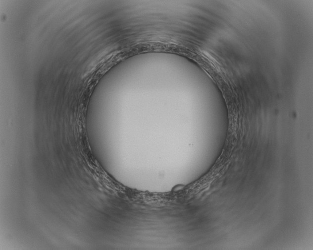 X0000089860774200706281008