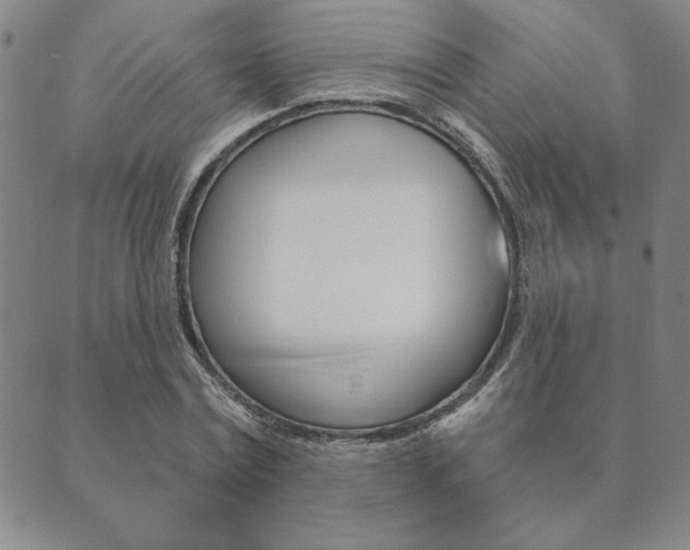 X0000089860779200706281008