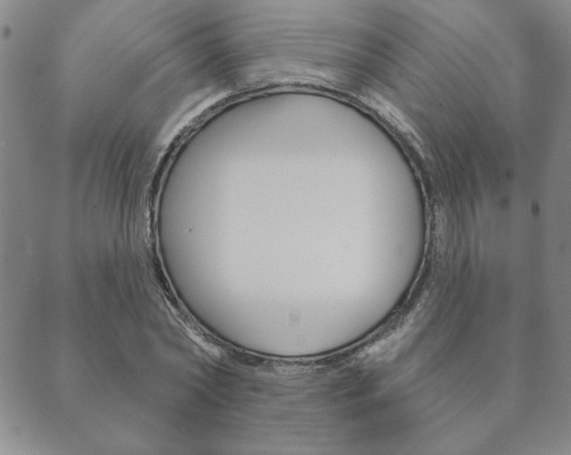 X0000089860782200706281008