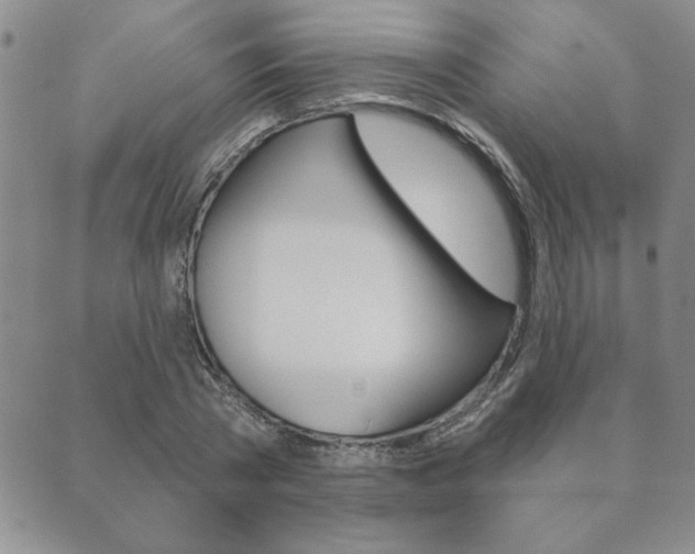X0000089860785200706281008