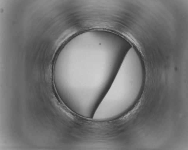 X0000089860790200706281008