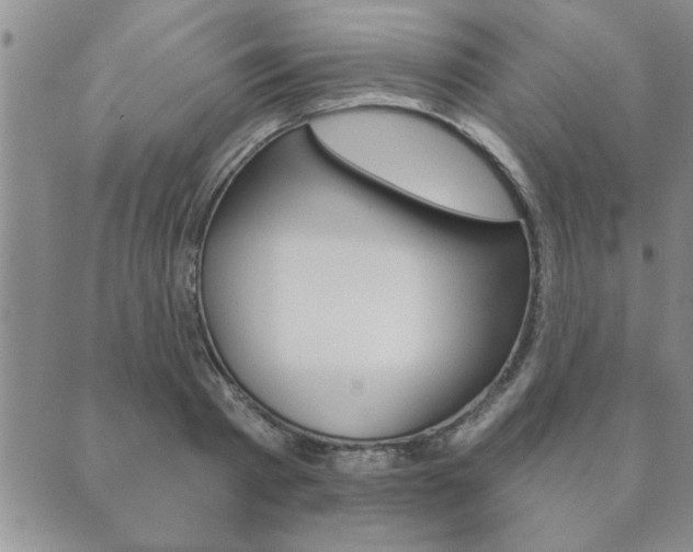 X0000089860793200706281008