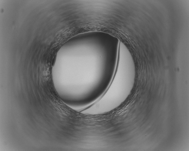 X0000089860818200706281007