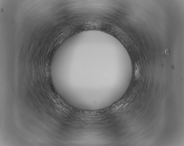 X0000089860819200706281007
