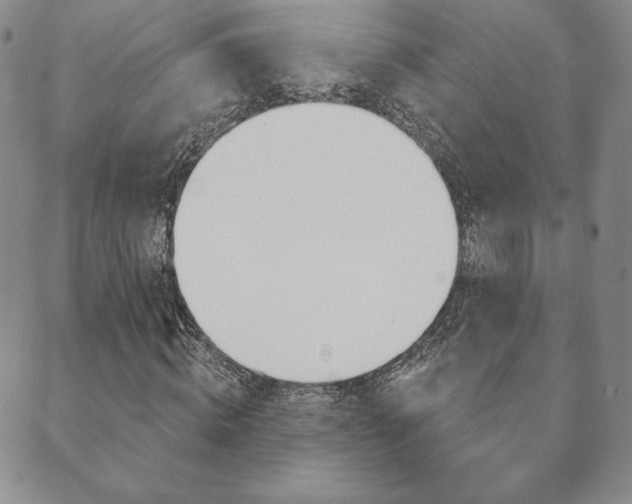 X0000089860820200706281007