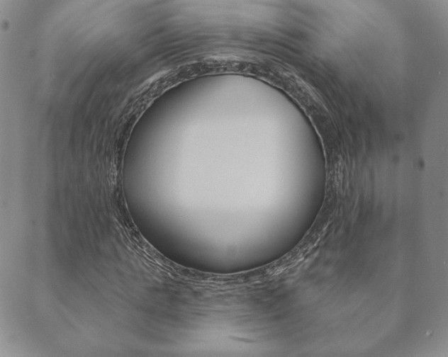 X0000089860821200706281007