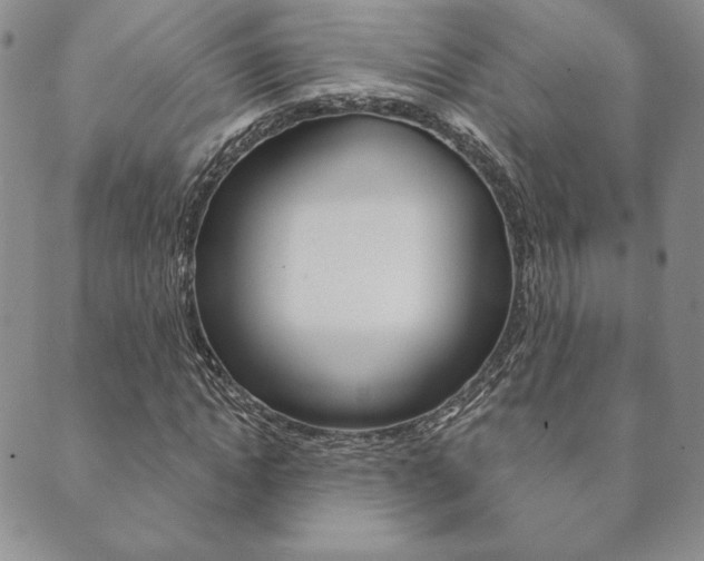 X0000089860822200706281007