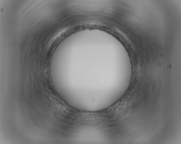 X0000089860823200706281007