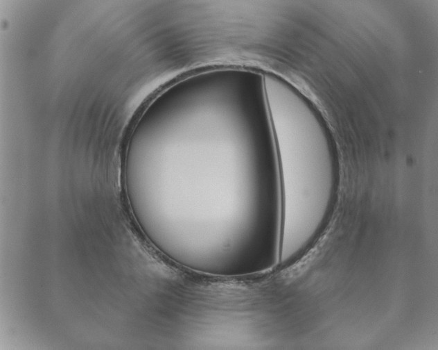 X0000089860838200706281007