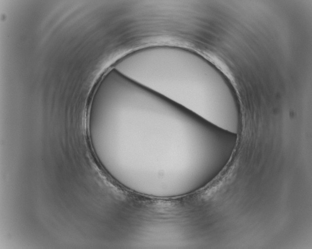 X0000089860839200706281007
