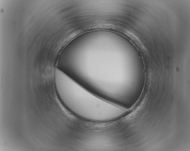 X0000089860841200706281007