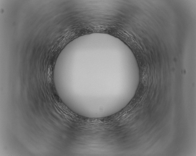 X0000089860866200706281007
