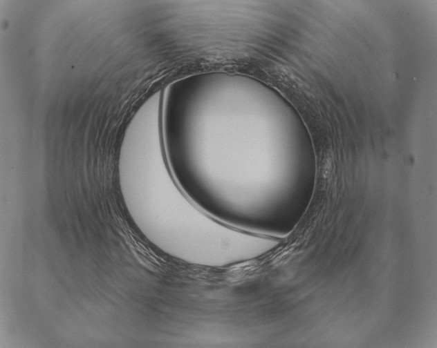 X0000089860868200706281007