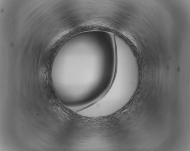 X0000089860872200706281007