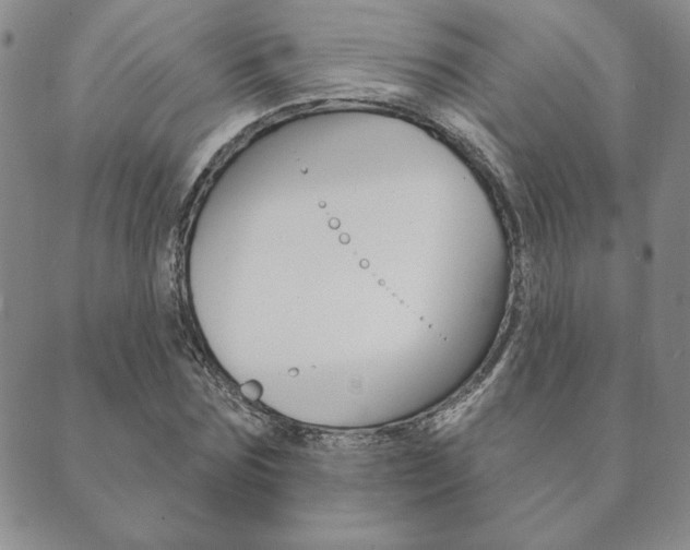 X0000089860875200706281007