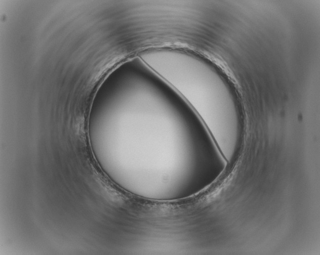 X0000089860881200706281007