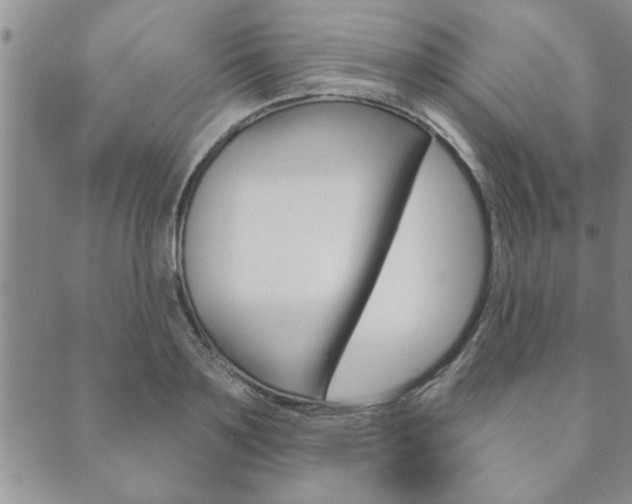 X0000089860891200706281006