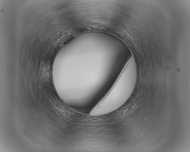 X0000089860915200706281005