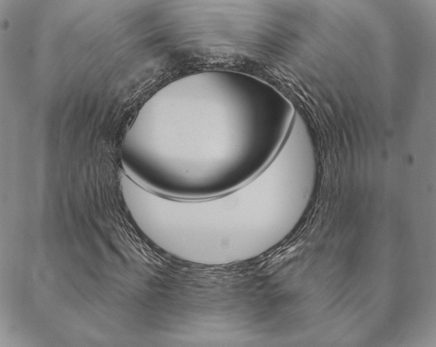 X0000089860916200706281005