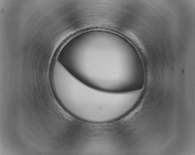 X0000089860924200706281005